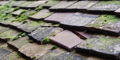Paulton roof repair costs
